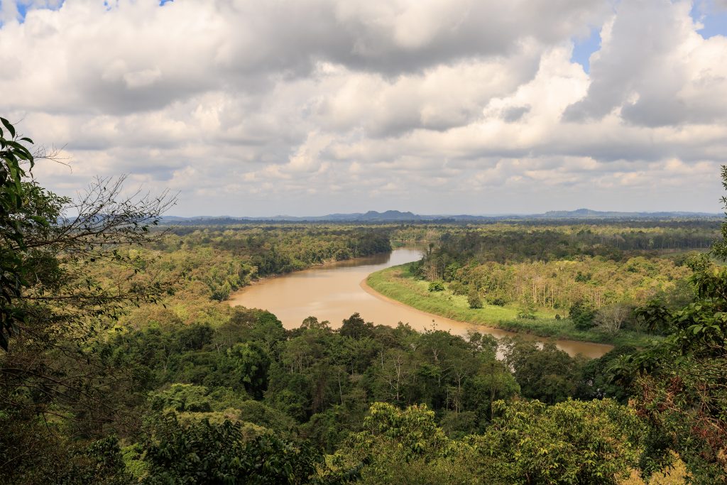 Panoramic viewpoint over Kinabatangan River